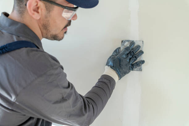 Sauk Village, IL Drywall & Painting Services Company